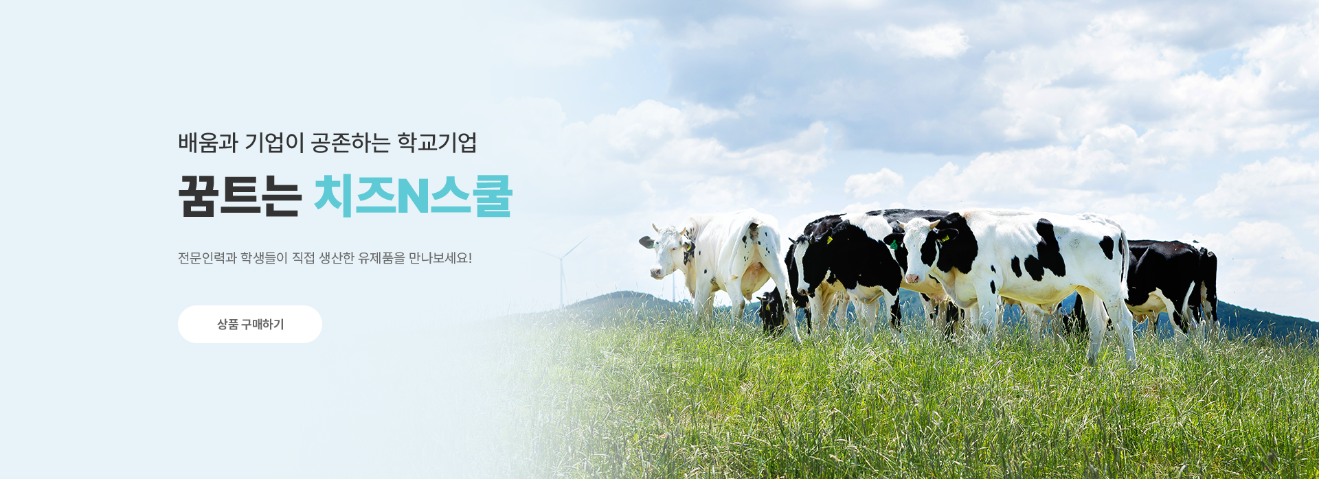 PC 메인 이미지 0